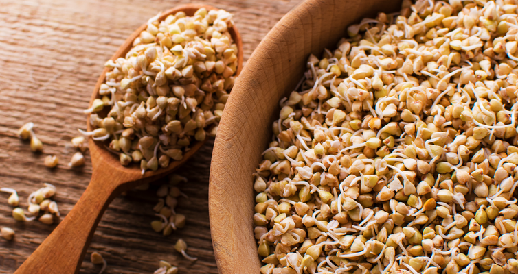 Why Do We Sprout Our Grains?