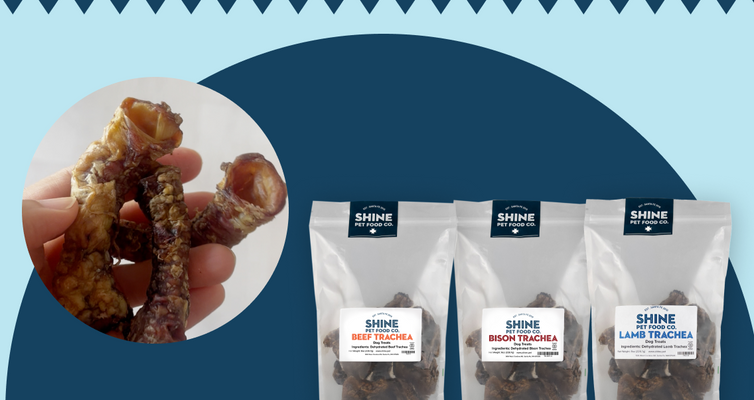 Did You Know? Our Trachea Treats Are a Nutritional Powerhouse
