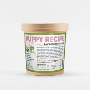 Frozen Raw Puppy Recipe
