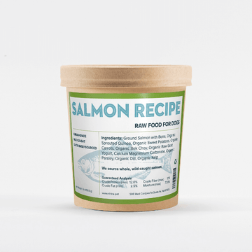 Frozen Raw Salmon Recipe