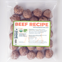 Frozen Raw Beef Recipe