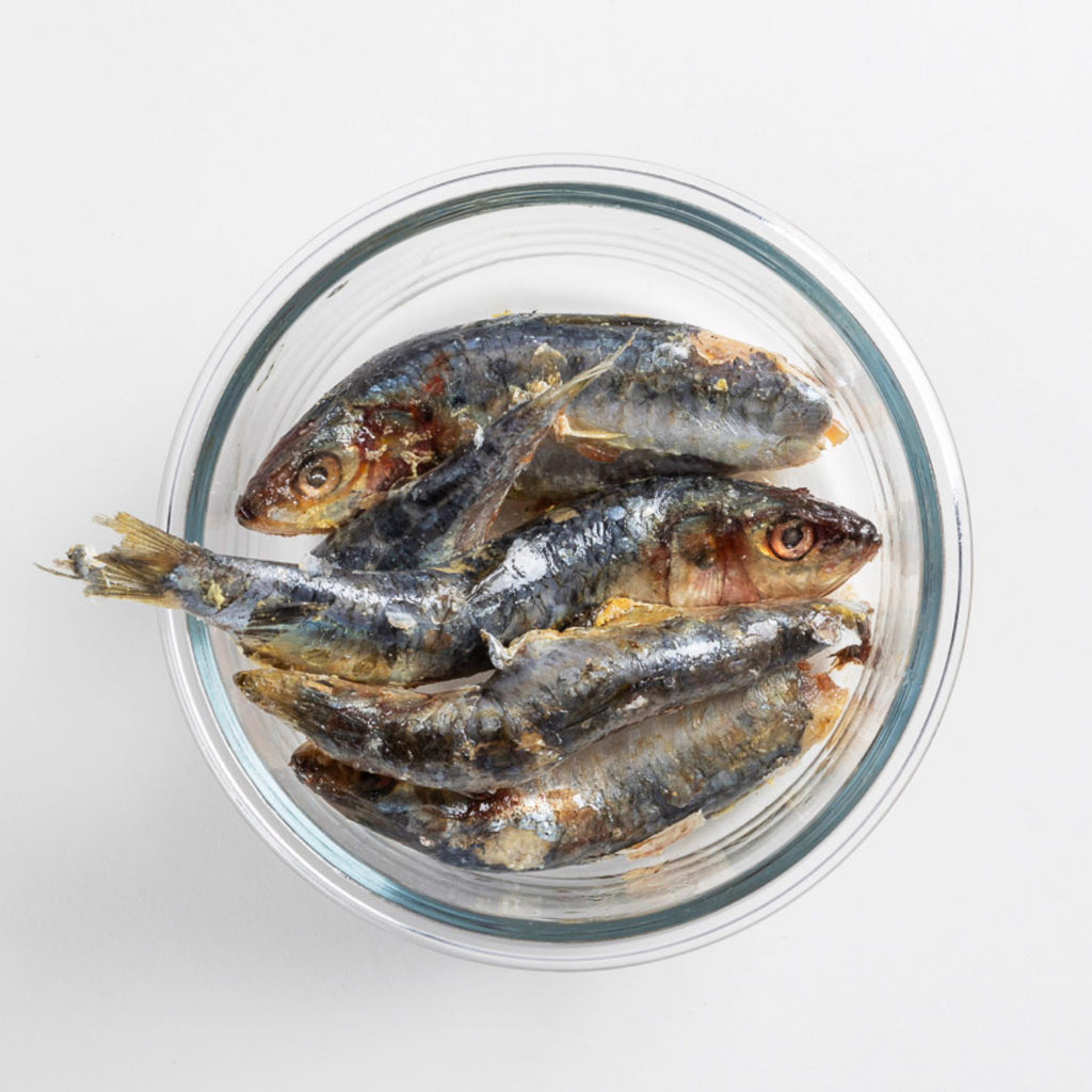 Wild-Caught Sardines