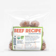 Frozen Raw Beef Recipe
