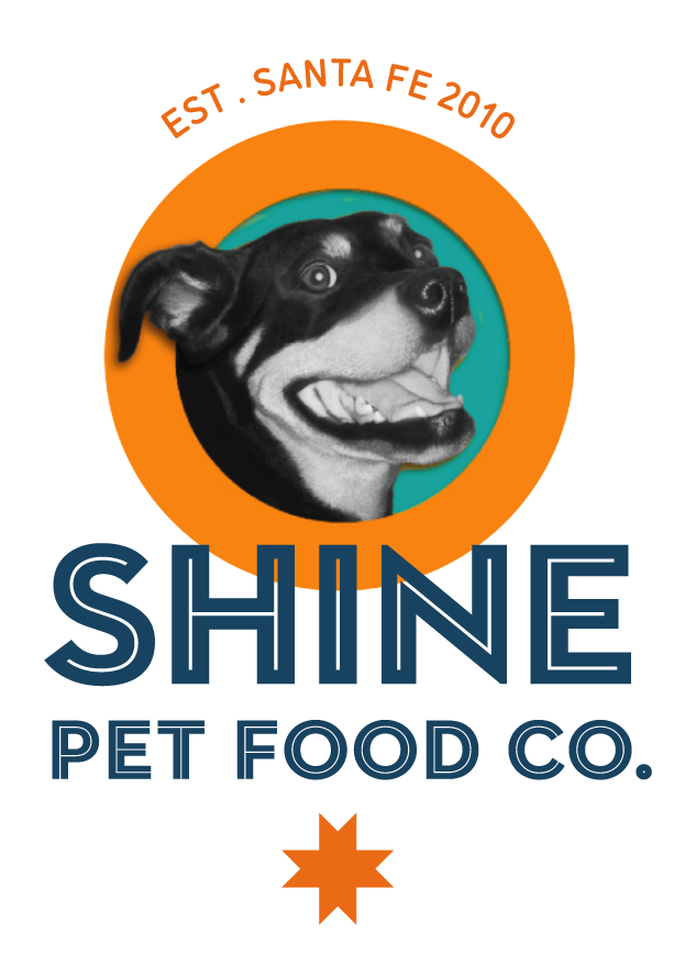 Shine Logo