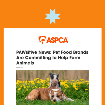 ASPCA - PAWsitive News: Pet Food Brands Are Committing to Help Farm Animals