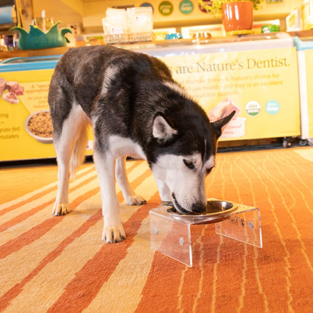 What Makes Shine Pet Food Different?