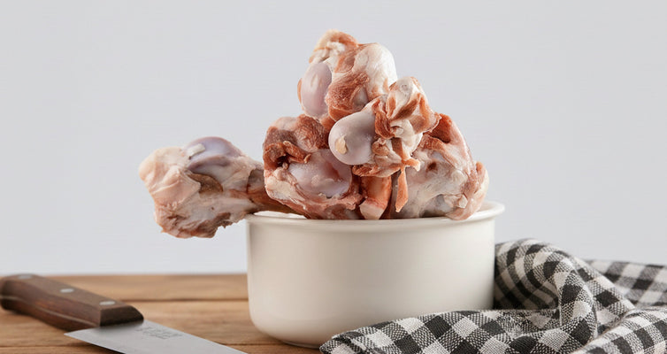 The Natural Secret to Healthy Teeth for Dogs