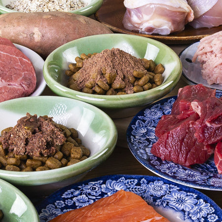 Do Dog Meal Toppers Actually Add Nutritional Value?