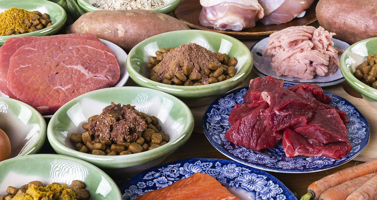 Do Dog Meal Toppers Actually Add Nutritional Value?