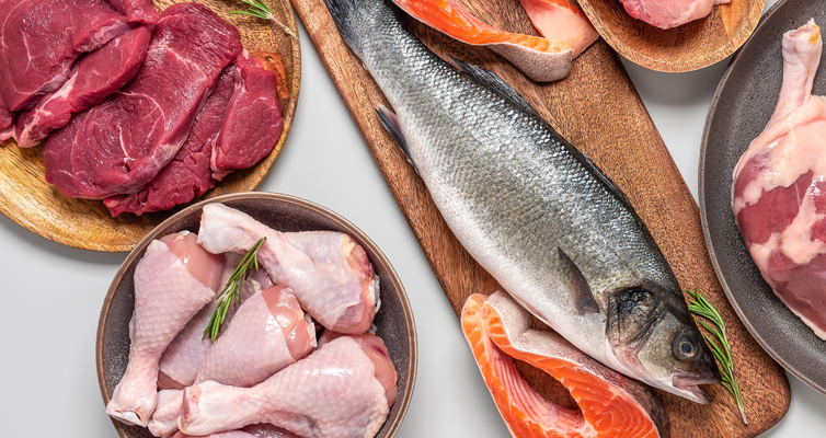 Why Rotating Proteins Matters for Your Dog’s Health