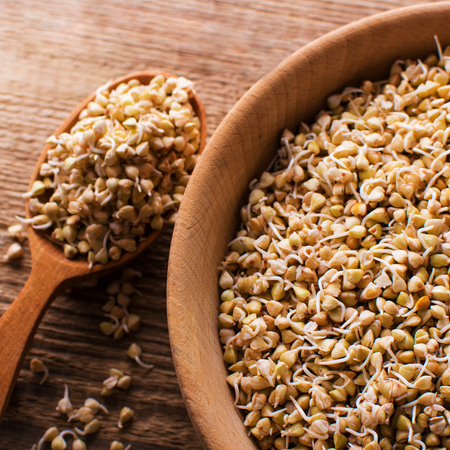 Why Do We Sprout Our Grains?