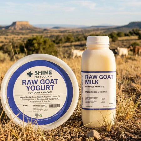 Goat milk & yogurt for dogs and cats: Benefits and ways to use them
