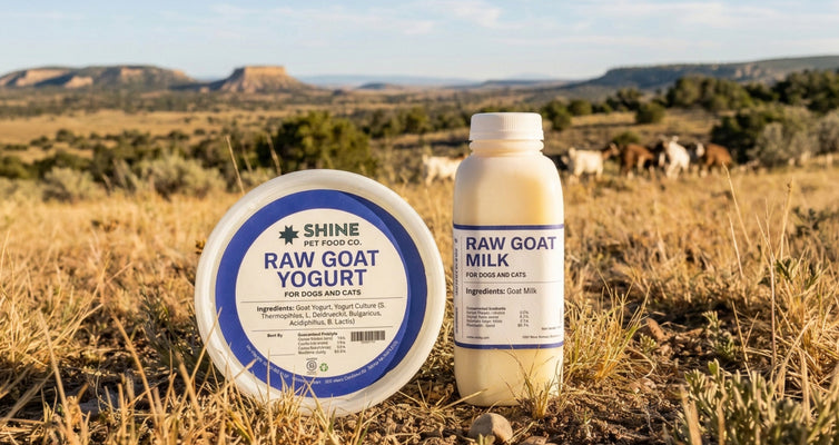 Goat milk & yogurt for dogs and cats: Benefits and ways to use them