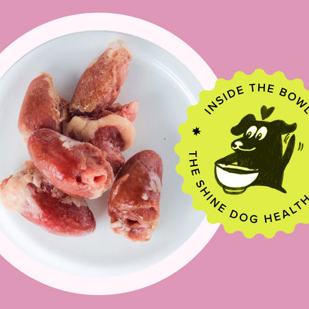 Inside the Bowl - Cardiovascular Health in Dogs