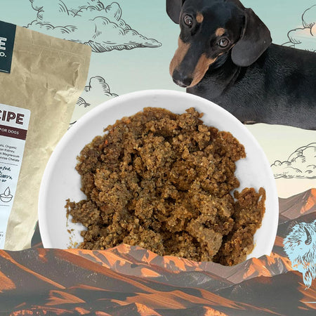 Discover why bison is a lean, nutrient-rich protein that’s great for your dog’s health.