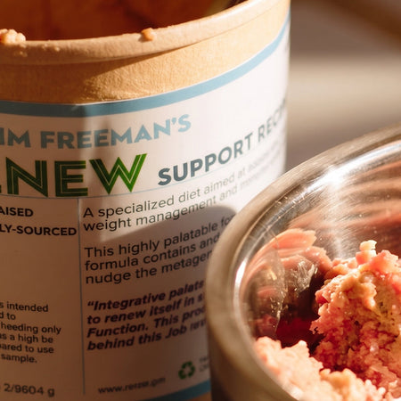 What should I feed my dog with cancer? Meet Renew.