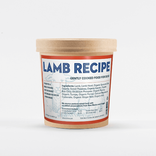 Gently cooked lamb