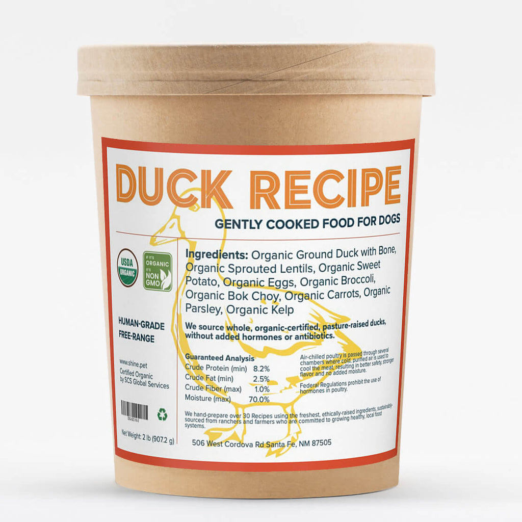 Beautiful view of Duck Dog Food Without Allergies
