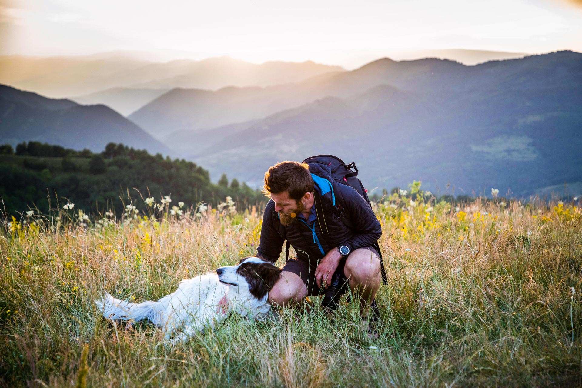 A dog and his owner in a field