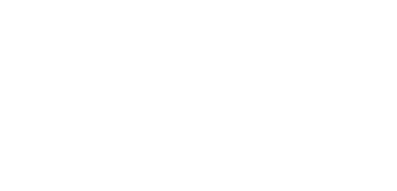 Shine Logo